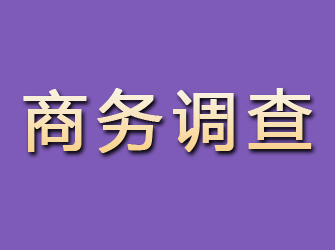 泰宁商务调查